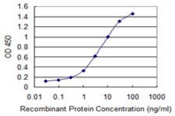Monoclonal Anti-HSD17B8 antibody produced in mouse clone 4F1, purified immunoglobulin, buffered aqueous solution