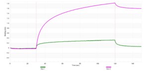 Anti-CHMP4B Antibody, clone 2H3 ZooMAb® Rabbit Monoclonal recombinant, expressed in HEK 293 cells