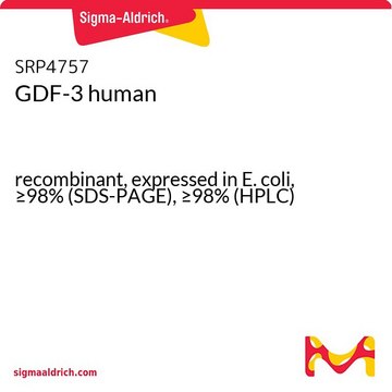 GDF-3 human recombinant, expressed in E. coli, &#8805;98% (SDS-PAGE), &#8805;98% (HPLC)