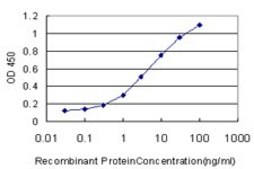 Monoclonal Anti-SCGB3A2 antibody produced in mouse clone 1B2, purified immunoglobulin, buffered aqueous solution