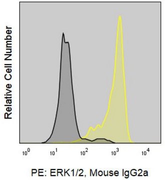 Anti-Human ERK1/ERK2 (SB46b) ColorWheel&#174; Dye-Ready mAb for use with ColorWheel&#174; Dyes (Required, sold separately)