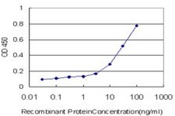 Monoclonal Anti-ARHGEF1, (C-terminal) antibody produced in mouse clone 1H4, purified immunoglobulin, buffered aqueous solution