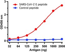 Anti-SARS-CoV-2 (COVID-19, 2019-nCoV) Envelope antibody produced in rabbit affinity isolated antibody