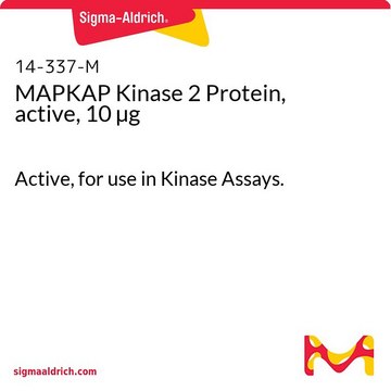 MAPKAP Kinase 2 Protein, active, 10 &#181;g Active, for use in Kinase Assays.