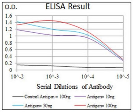 Anti-BMPR-1A, clone 4B7B2 Antibody ascites fluid, clone 4B7B2, from mouse