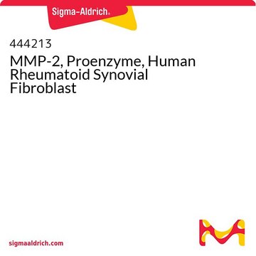 MMP-2, Proenzyme, Human Rheumatoid Synovial Fibroblast