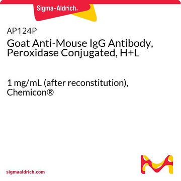 山羊抗小鼠IgG抗体，过氧化物酶偶联，H+L 1&#160;mg/mL (after reconstitution), Chemicon&#174;