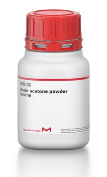 Brain acetone powder bovine