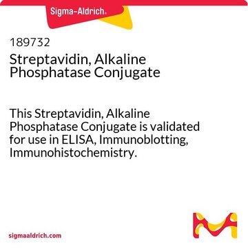 链霉亲和素，碱性磷酸酶结合物 This Streptavidin, Alkaline Phosphatase Conjugate is validated for use in ELISA, Immunoblotting, Immunohistochemistry.