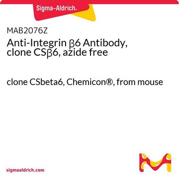 Anti-Integrin &#946;6 Antibody, clone CS&#946;6, azide free clone CSbeta6, Chemicon&#174;, from mouse