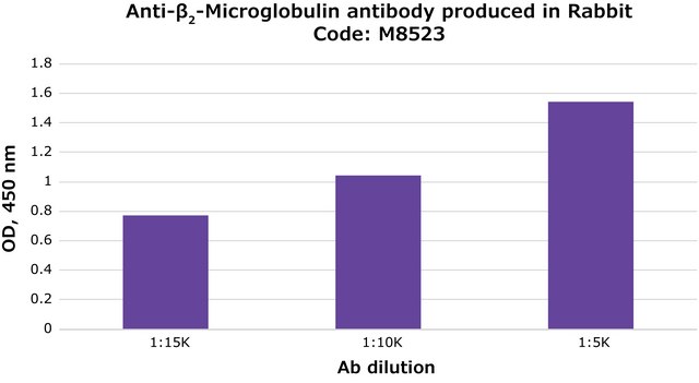 Anti-&#946;2-Microglobulin antibody produced in rabbit whole antiserum