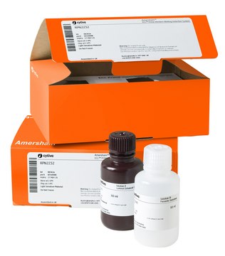 ECL&#8482; Prime Western Blotting Detection Reagent Cytiva RPN2236