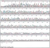 Ultrafree® Centrifugal Filter, 0.5 mL Sample Volume