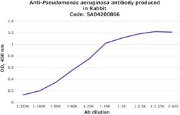 Anti-Pseudomonas aeruginosa antibody produced in rabbit IgG fraction of antiserum