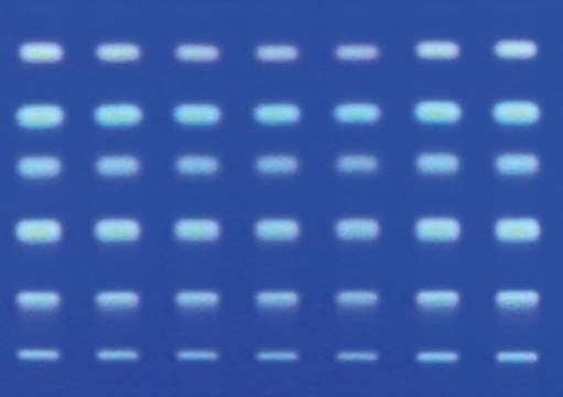 TLC plates, Silica gel 60 RP-2 F₂₅₄ (silanized) 25 Glass plates 20 x 20 cm glass support, fluorometric, pkg of 25&#160;plates, plate L × W 20&#160;cm × 20&#160;cm, suitable for thin layer chromatography (TLC)