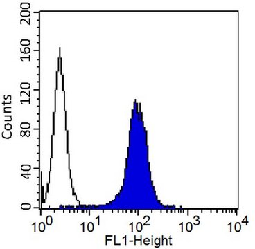 Anti-MCAM Antibody, clone P1H12, FITC conjugated clone P1H12, Chemicon&#174;, from mouse