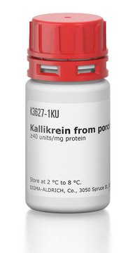 Kallikrein from porcine pancreas &#8805;40&#160;units/mg protein