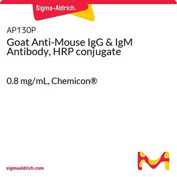 Goat Anti-Mouse IgG &amp; IgM Antibody, HRP conjugate 0.8&#160;mg/mL, Chemicon&#174;