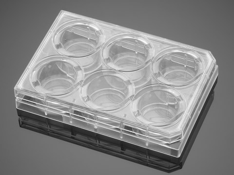 Corning&#174; BioCoat&#8482; Laminin Multiwell Plate well size 6&#160;wells, flat bottom clear wells, lid