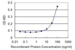Monoclonal Anti-MPP5 antibody produced in mouse clone 1D12, purified immunoglobulin, buffered aqueous solution