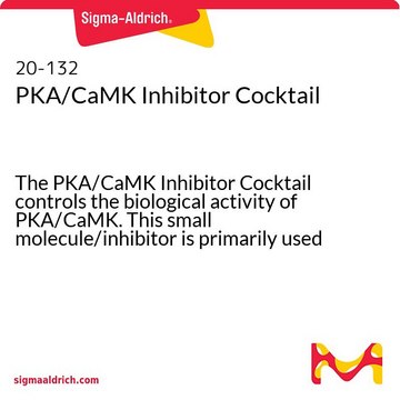 PKA/CaMK Inhibitor Cocktail The PKA/CaMK Inhibitor Cocktail controls the biological activity of PKA/CaMK. This small molecule/inhibitor is primarily used for Biochemicals applications.