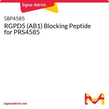 RGPD5 (AB1) Blocking Peptide for PRS4585