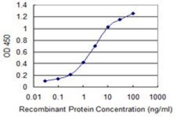 Monoclonal Anti-PQBP1 antibody produced in mouse clone 3H7, purified immunoglobulin, buffered aqueous solution