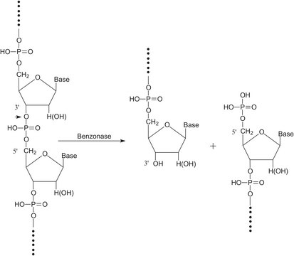 Benzonase&#174;核酸酶，超纯 &#8805;250&#160;units/&#956;L, &#8805;99% (SDS-PAGE), recombinant, expressed in E. coli, buffered aqueous glycerol solution, ultrapure grade