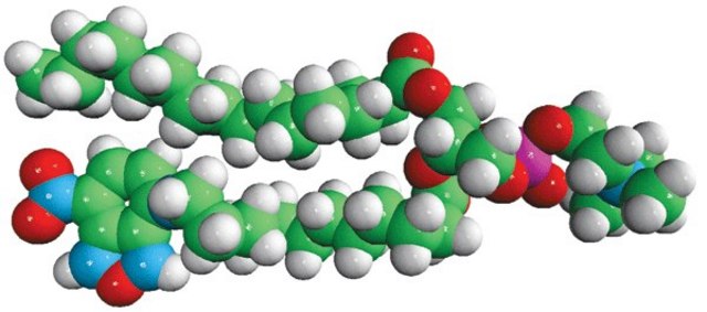 16:0-12:0 NBD PC Avanti Polar Lipids 810131C