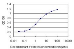 Monoclonal Anti-MTF1 antibody produced in mouse clone 2C12, purified immunoglobulin, buffered aqueous solution