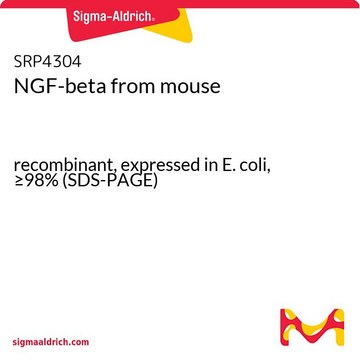 NGF-beta from mouse recombinant, expressed in E. coli, &#8805;98% (SDS-PAGE)