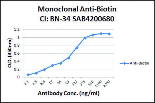 Anti-Biotin antibody, Mouse monoclonal clone BN-34, purified from hybridoma cell culture