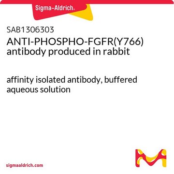 ANTI-PHOSPHO-FGFR(Y766) antibody produced in rabbit affinity isolated antibody, buffered aqueous solution