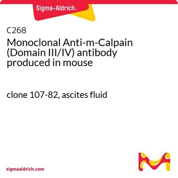 Monoclonal Anti-m-Calpain (Domain III/IV) antibody produced in mouse clone 107-82, ascites fluid