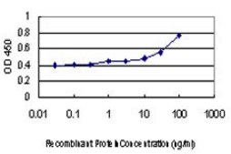 Monoclonal Anti-TFPI2 antibody produced in mouse clone 3E8, purified immunoglobulin, buffered aqueous solution