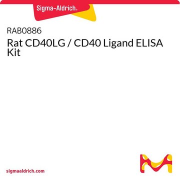 Rat CD40LG / CD40 Ligand ELISA Kit