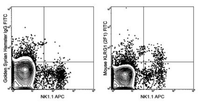 Anti-KLRG1 Antibody (mouse), FITC, clone 2F1 clone 2F1, 0.5 mg/mL, from hamster(Syrian)