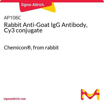 Rabbit Anti-Goat IgG Antibody, Cy3 conjugate Chemicon&#174;, from rabbit