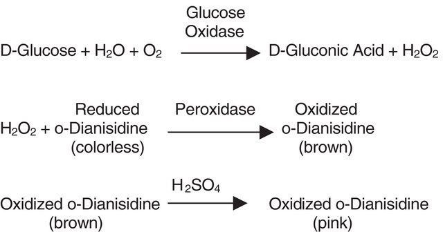 Glucose Oxidase from Aspergillus niger Type VII, lyophilized powder, &#8805;100,000&#160;units/g solid (without added oxygen)