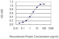Monoclonal Anti-PRSS12 antibody produced in mouse clone 1C3, purified immunoglobulin, buffered aqueous solution