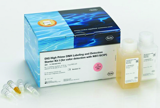 DIG-High Prime DNA Labeling and Detection Starter Kit I sufficient for 12&#160;labeling reactions, sufficient for 24&#160;blots, suitable for hybridization, suitable for Northern blotting, suitable for Southern blotting