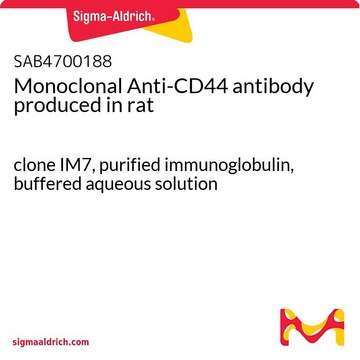 Monoclonal Anti-CD44 antibody produced in rat clone IM7, purified immunoglobulin, buffered aqueous solution