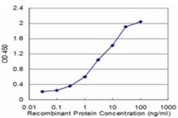 Monoclonal Anti-ENTPD4 antibody produced in mouse clone 4H7, purified immunoglobulin, buffered aqueous solution