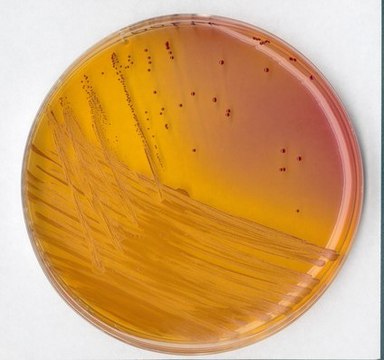 KF streptococcus agar (base) for microbiology