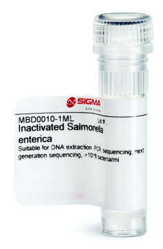 Inactivated Salmonella enterica Suitable for DNA extraction, PCR, sequencing, next generation sequencing, &gt;10^8 bacteria/ml