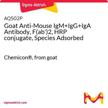 Goat Anti-Mouse IgM+IgG+IgA Antibody, F(ab&#8242;)2, HRP conjugate, Species Adsorbed Chemicon&#174;, from goat