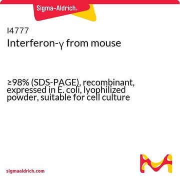 Interferon-&#947; from mouse &#8805;98% (SDS-PAGE), recombinant, expressed in E. coli, lyophilized powder, suitable for cell culture