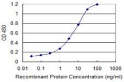 Monoclonal Anti-SEC13 antibody produced in mouse clone 1G7, purified immunoglobulin, buffered aqueous solution