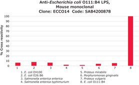 Anti-Escherichia coli O111:B4 LPS, Mouse monoclonal clone Ecco14, purified from hybridoma cell culture
