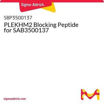 PLEKHM2 Blocking Peptide for SAB3500137